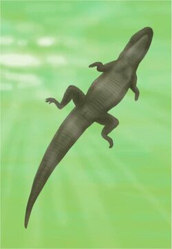 Allognathosuchus gracilis.jpg