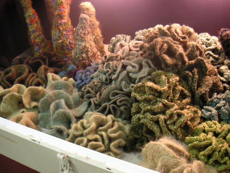 File:Crochet hyperbolic kelp.jpg