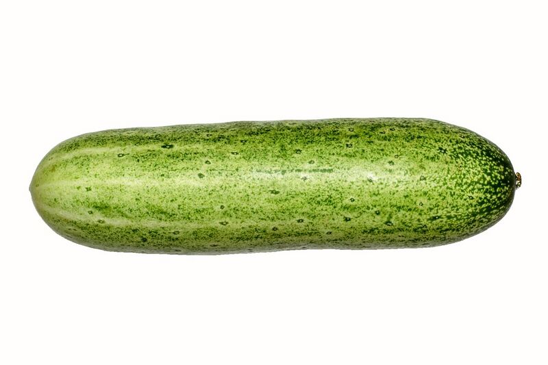 File:Cucumber BNC.jpg