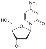 Skeletal formula of deoxycytidine