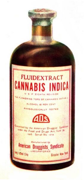 File:Drug bottle containing cannabis.jpg