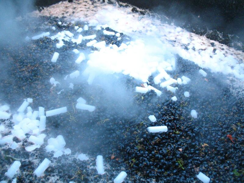 File:Dry ice used to preserve grapes after harvest.jpg