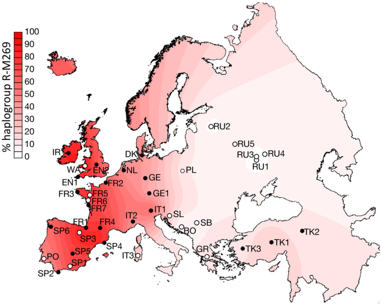 File:Geographical distribution of haplogroup frequency of hgR1b1b2.png