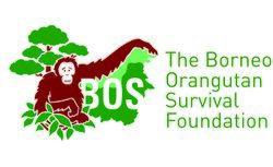Logo BOSF.jpg