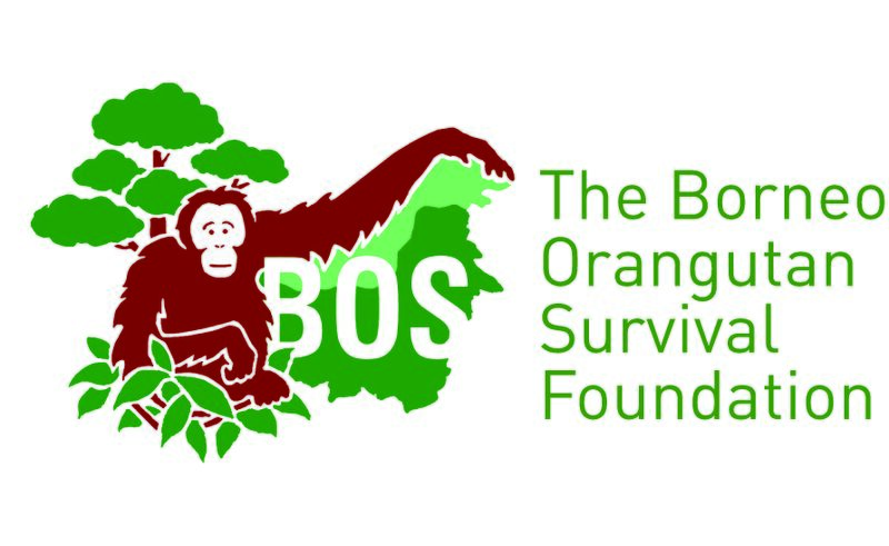 File:Logo BOSF.jpg