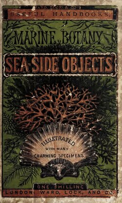 Marine botany and sea-side objects; embracing every feature of interest connected with this delightful sea-side recreation; and illustrated with many charming specimens (IA marinebotanyseas00unse).pdf