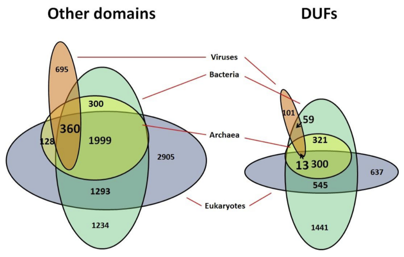 File:Protein domains and DUFs in different domains of life.png