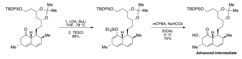 Rubottom Analogs1.png