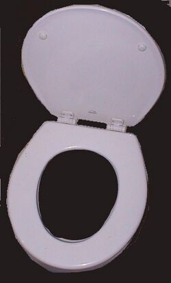 Toilet seat 600x980.jpg