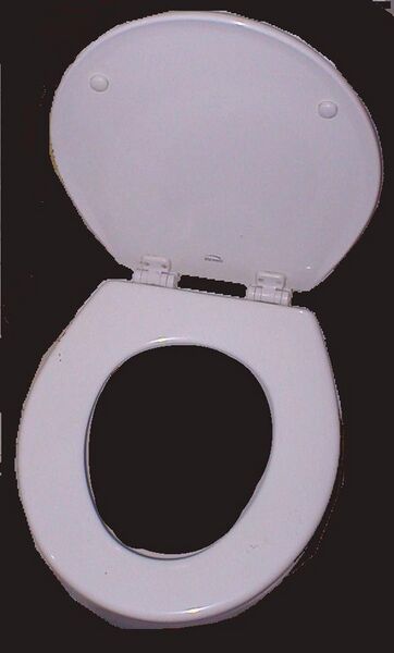 File:Toilet seat 600x980.jpg