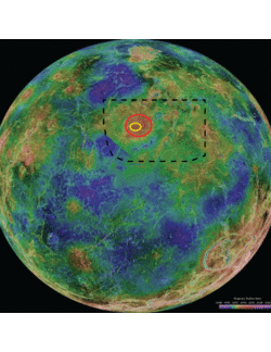 View of the Southern Hemisphere of Venus.gif