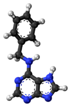 Ball-and-stick model of the 6-benzylaminopurine molecule