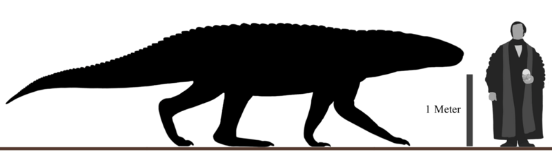 File:Barinasuchus Size Comparison.png