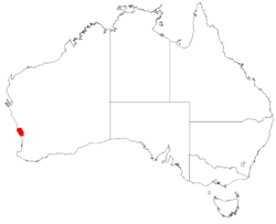 Conostylis angustifolia DistMap41.png