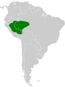 Galbula cyanescens map.svg