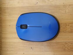 Logitech M171 Blue Mouse.jpg