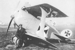 Lohner Type AA fighter aircraft 111.01.jpg