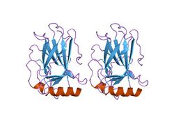 PDB 1uol EBI.jpg