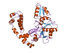 PDB 1zql EBI.jpg