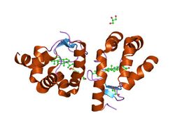 PDB 2aib EBI.jpg