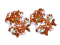 PDB 2hbs EBI.jpg