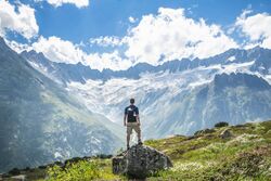 Person standing in front of Swiss Alps.jpg