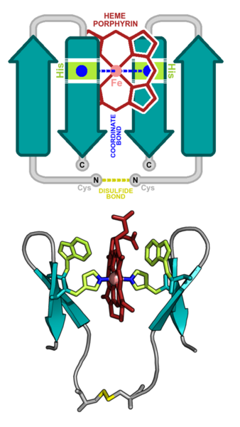 File:Pincer-1 beta heme peptide.png