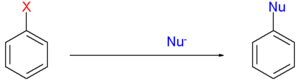 Radical-nucleophilic aromatic substitution overview