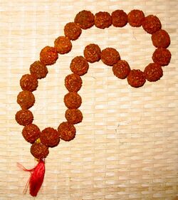 Rudraksha beads.jpg