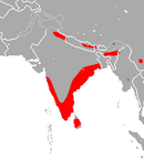 In China, India, Myanmar, Nepal, Sri Lanka, and Vietnam