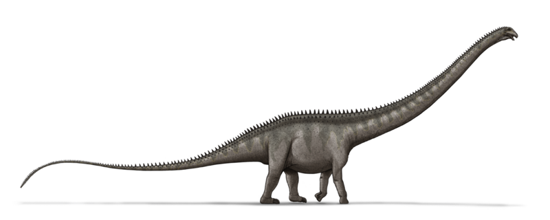 File:Supersaurus dinosaur.png