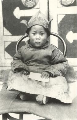 The 14th Dalal Lama as a child, 1940s.jpg