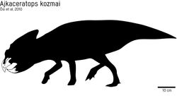 Ajkaceratops holotipo.jpg