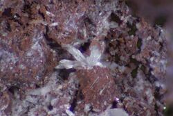 Artroeite-purple-sky-minerals.jpg