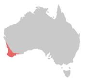 Southwestern tip of Australia