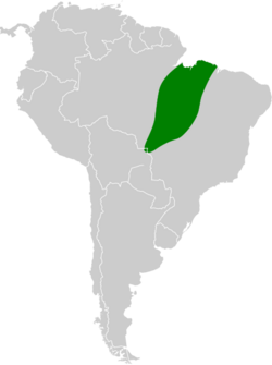 Lophornis gouldii map.svg