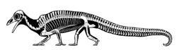Megalancosaurus skeletal.png
