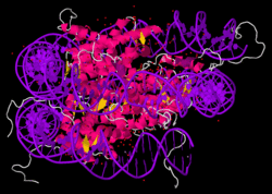 Nucleosome core particle 1EQZ v.2.gif