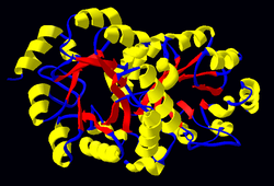 OMP decarboxylase.png