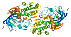 Protein ADH5 PDB 1m6h.png