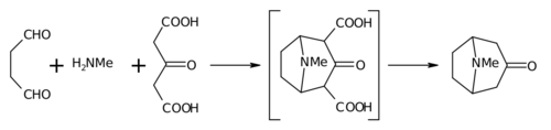 Tropinone synthesis