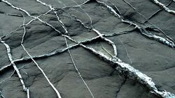 Rock with white veins at Imperia in Italy.jpg