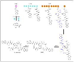 Structure of Echinomycin Biosynthesis.gif