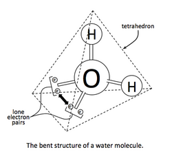 Tetrahedral Structure of Water.png