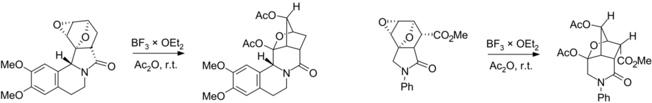 Some examples of Wagner-Meerwein rearrangement in heterocyclic series
