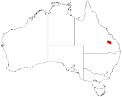 Acacia hockingsiiDistMap436.png