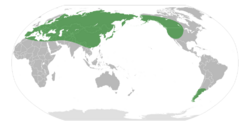 Androsace Distribution Map.svg