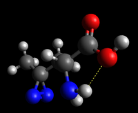 Ball and Stick Model of the L-Photo-Leucine molecule.png