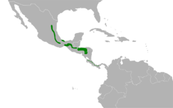 Catharus mexicanus map.svg