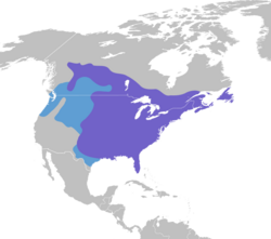 Cyanocitta cristata map.svg